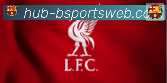 Bsports官网合作伙伴
