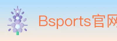 Bsports官网 Logo